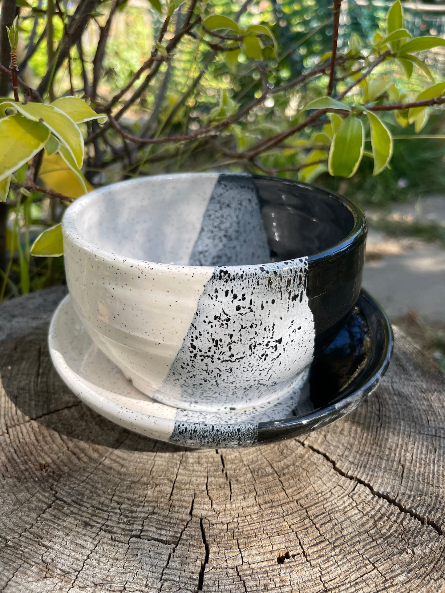 2 PC. B&W PLANTER WITH PLATE